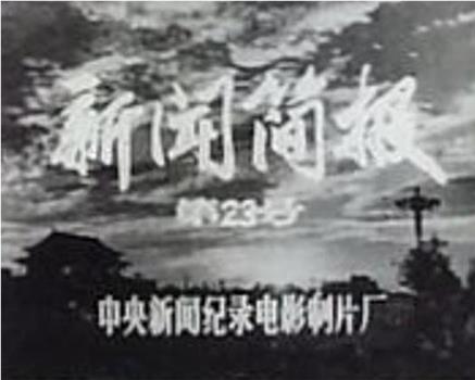 新闻简报1974年第23号在线观看和下载