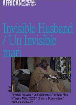 Invisible Husband在线观看和下载