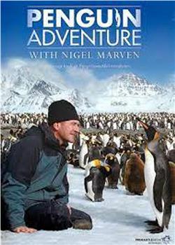 Penguin Week with Nigel Marven在线观看和下载