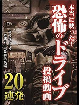 本当に映った！恐怖のドライブ投稿動画在线观看和下载