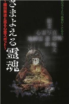 さまよえる霊魂~織田無道と巡る心霊スポット~在线观看和下载