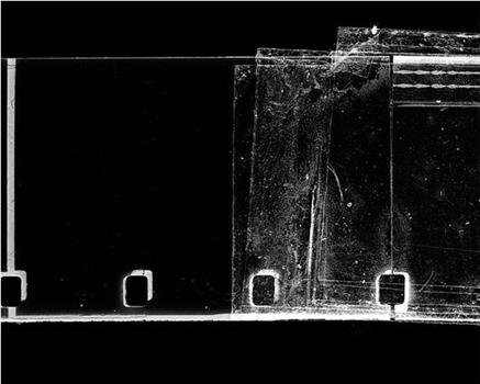 Structural Filmwaste. Dissolution 1在线观看和下载