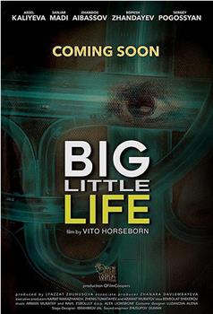 Big Little Life在线观看和下载