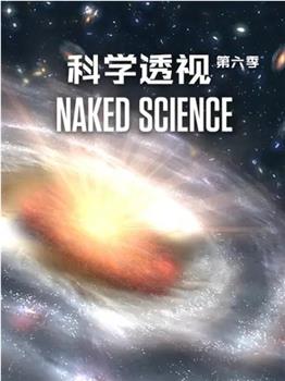 科学透视 第六季在线观看和下载