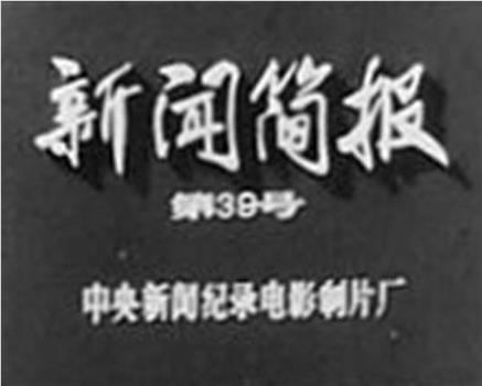 新闻简报1973年第39号在线观看和下载