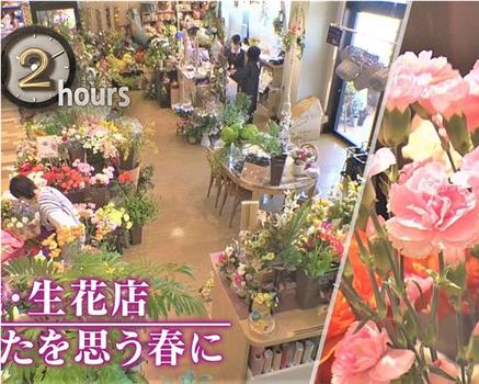 ドキュメント72時間：宮城・生花店 あなたを思う春に在线观看和下载