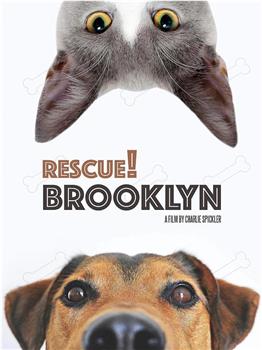 Rescue! Brooklyn在线观看和下载