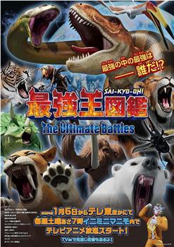 最强王图鉴 ～The Ultimate Battles～在线观看和下载