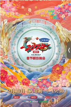2024年北京电视台龙年春节联欢晚会在线观看和下载