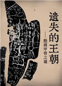 遗失的王朝：殷墟甲骨之谜在线观看和下载