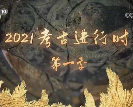 探索发现：2021考古进行时 第一季在线观看和下载