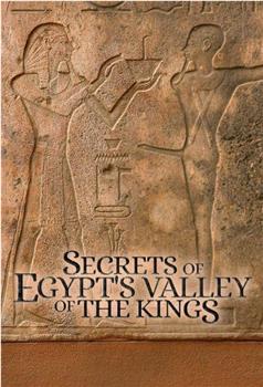 埃及帝王谷之谜 第一季在线观看和下载