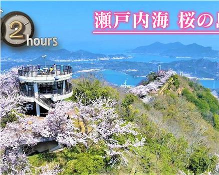 ドキュメント72時間：瀬戸内海 桜の島で在线观看和下载