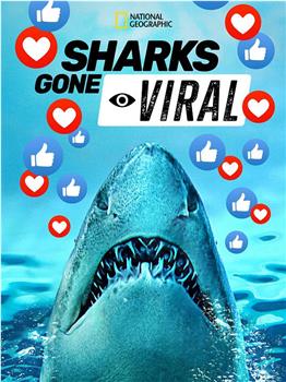 Sharks Gone Viral在线观看和下载