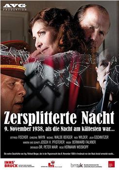 Zersplitterte Nacht: 9. November 1938, als die Nacht am kält在线观看和下载