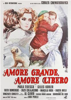 Amore grande, amore libero在线观看和下载