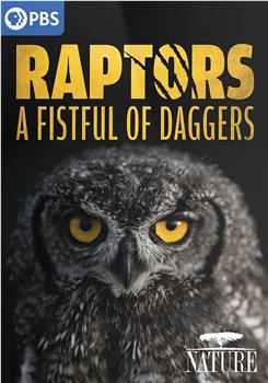 Raptors - A Fistful of Daggers在线观看和下载