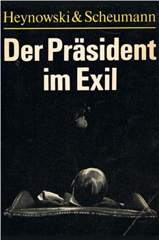 流亡总统在线观看和下载