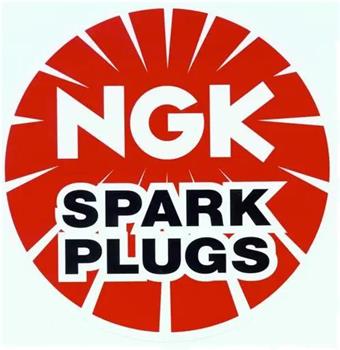 Spark Plug在线观看和下载