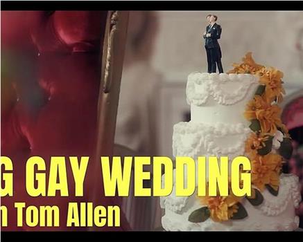 Big Gay Wedding with Tom Allen在线观看和下载