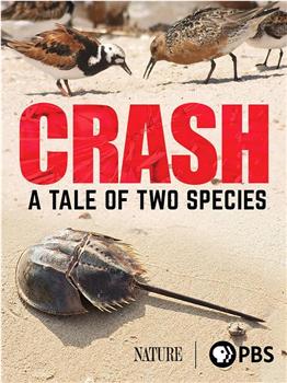 Crash: A Tale of Two Species在线观看和下载