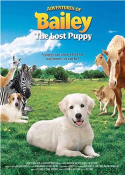 Adventures of Bailey: The Lost Puppy在线观看和下载