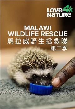 Malawi Wildlife Rescue Season 2在线观看和下载