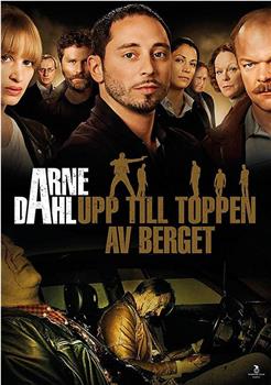 Arne Dahl: Upp till toppen av berget在线观看和下载