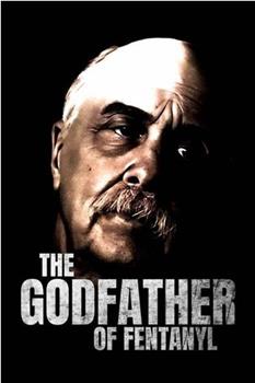 The Godfather of Fentanyl Season 1在线观看和下载