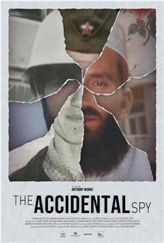 The Accidental Spy在线观看和下载