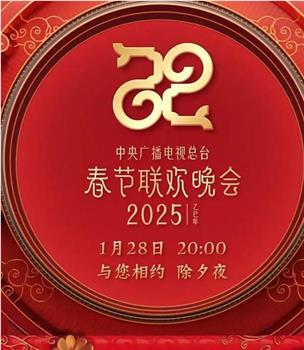 2025年中央广播电视总台春节联欢晚会在线观看和下载