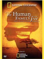 2009年国家地理杂志专题 人类基因树ed2k分享
