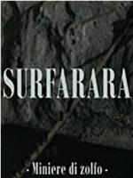 Surfarara