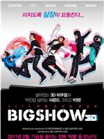 2010 Big Bang演唱会Big Show 3D在线观看和下载