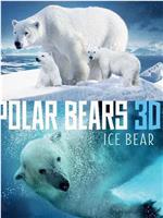 Ice Bear在线观看