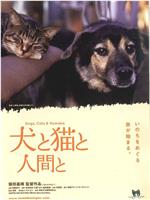 狗和猫和人在线观看和下载