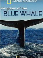 蓝鲸王国在线观看和下载