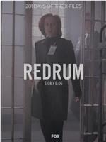 "The X Files" SE 8.6 Redrum在线观看