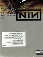 Nine Inch Nails Live: And All That Could Have Been  nails