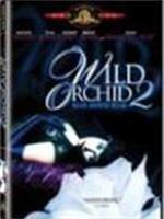 Wild Orchid II: Two Shades of Blue野兰花之恋