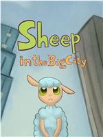 城市小绵羊在线观看和下载