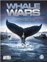 鲸鱼大战 第一季