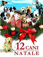12条圣诞狗狗在线观看和下载