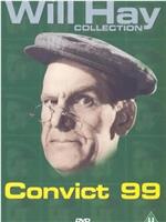 Convict 99在线观看