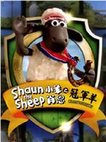 小羊肖恩 冠军羊在线观看和下载