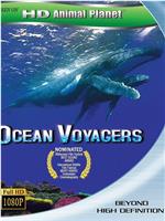 动物星球系列：鲸奇之旅在线观看和下载