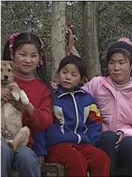 大地的拂晓：中国农村少女和丰田的10年在线观看和下载