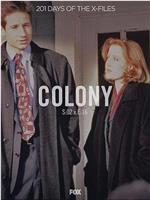 "The X Files"  Season 2, Episode 16: Colony在线观看