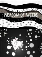 Meadow of Weeds