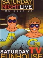 Saturday Night Live: The Best of TV Funhouse在线观看